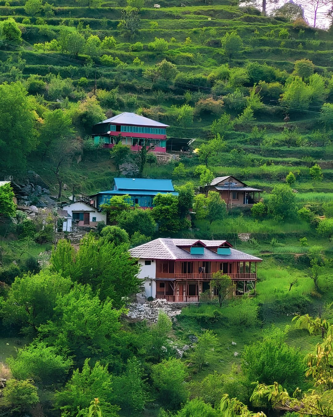 Jibhi Tirthan